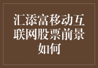 汇添富移动互联网股票：投资前景与风险共析