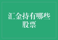 汇金公司持有的股票：价值投资与长期战略解析