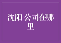 沈阳企业创新与发展：探索沈阳公司集聚区的奥秘