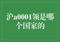 如果车牌号沪A0001领属于某个神秘国家，那会是什么样子？