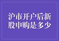 沪市开户后新股申购：从新手到股神，只需几步！