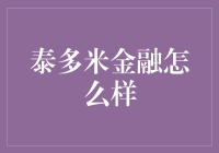 泰多米金融：全面解析其业务模式与市场表现