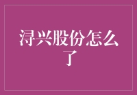 浔兴股份何以陷入业绩下滑困境：外部环境变化与内部管理挑战