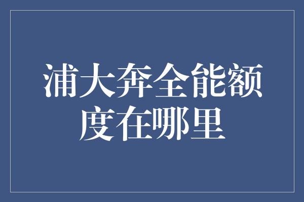 浦大奔全能额度在哪里