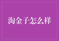 淘金子：探寻新时代的财富金矿