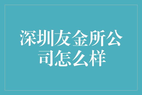 深圳友金所公司怎么样