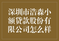 深圳市浩森小额贷款股份有限公司：助您实现梦想的桥梁