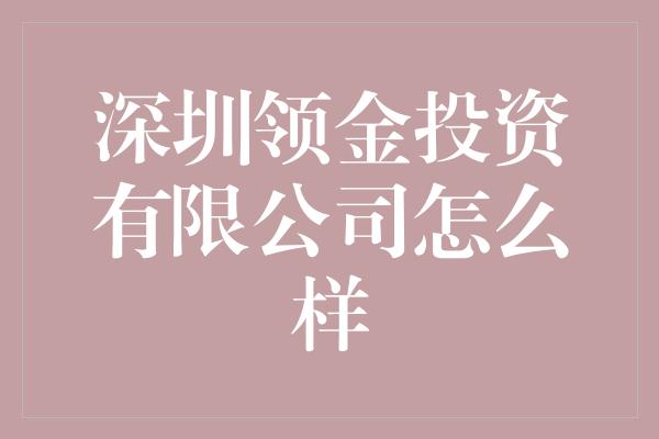 深圳领金投资有限公司怎么样