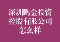 深圳鹏金投资控股有限公司：小鹏的金矿还是鸭子的深渊？