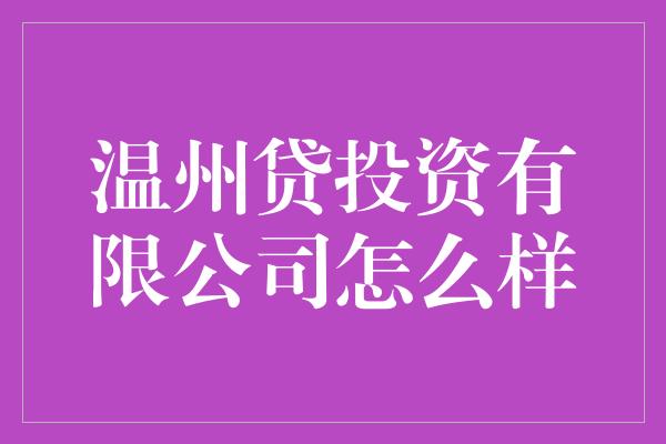 温州贷投资有限公司怎么样