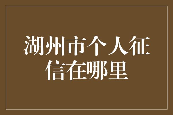 湖州市个人征信在哪里