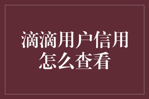 滴滴用户信用怎么查看