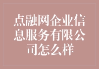 点融网企业信息服务有限公司：金融科技领域的探索者与创新者