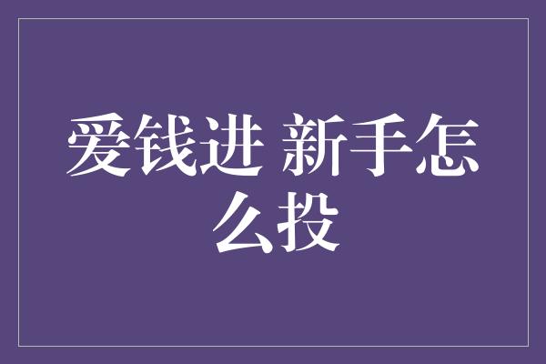 爱钱进 新手怎么投