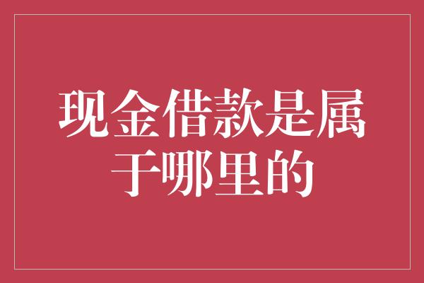 现金借款是属于哪里的