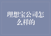 理想宝公司：理想中的公司距离现实还有多少厘米？