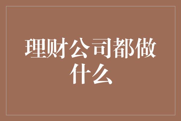 理财公司都做什么