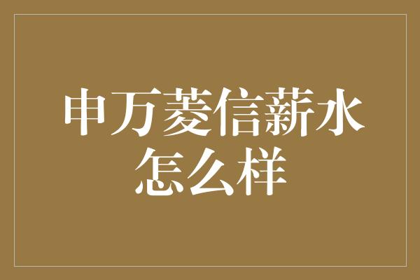 申万菱信薪水怎么样