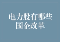 电力股国企改革：从发电巨人到用电小怪兽