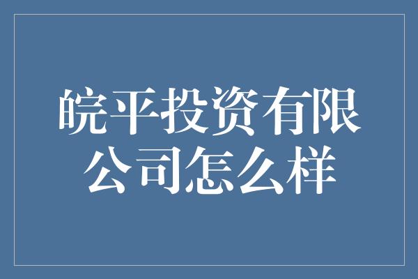 皖平投资有限公司怎么样