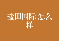 盐田国际：深港陆海联动的物流枢纽标杆