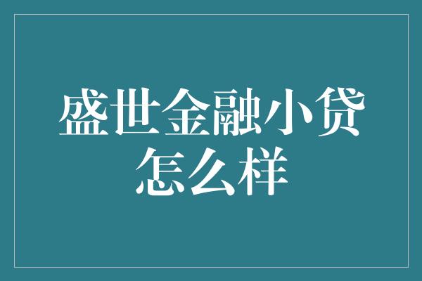 盛世金融小贷怎么样