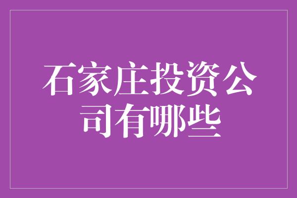 石家庄投资公司有哪些