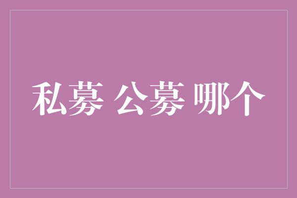 私募 公募 哪个