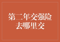 第二年交强险去哪里交：从保险超市到线上平台