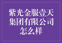 紫光金服壹天集团有限公司：金融科技的未来蓝图