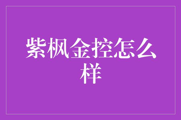 紫枫金控怎么样