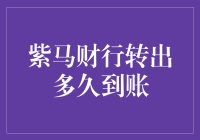 紫马财行转出多久到账，你的钱到底在和谁玩躲猫猫？