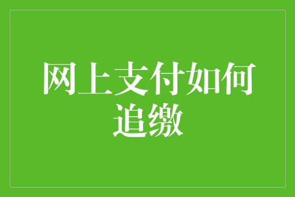 网上支付如何追缴