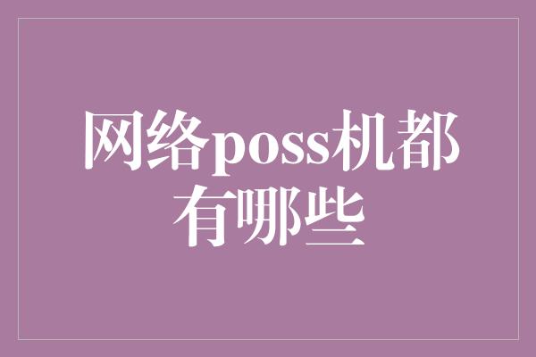 网络poss机都有哪些