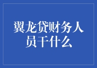 翼龙贷财务人员的神秘使命：数字舞者与时间魔术师