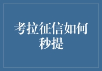 一分钟教你成为财务高手！揭秘考拉征信的秘密技巧！