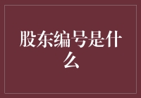 从财务安全锁到公司身份标识：股东编号的多重解读