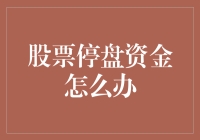 股票停盘资金怎么办？别慌，让我给你支几招！