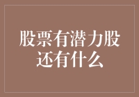 除了潜力股，股票投资还有哪些值得关注的类型？