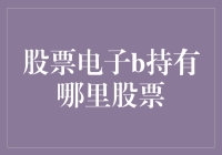 股票电子b持有哪里的股票？我们一起去探险吧！