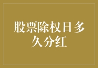 股票除权日真的会分红吗？揭秘背后的真相！