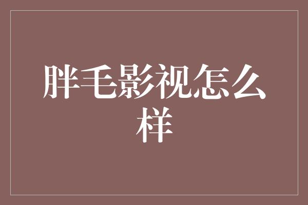 胖毛影视怎么样