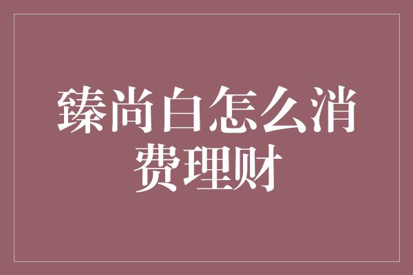 臻尚白怎么消费理财