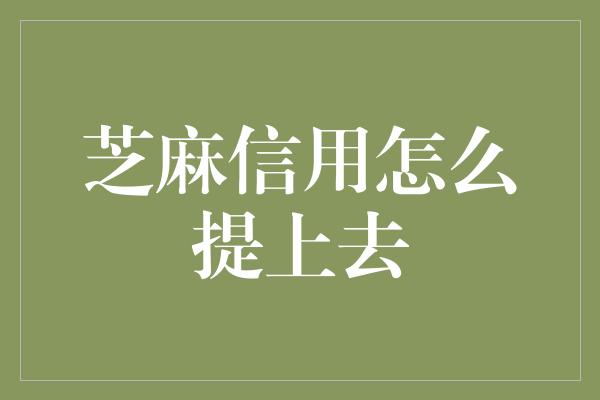 芝麻信用怎么提上去