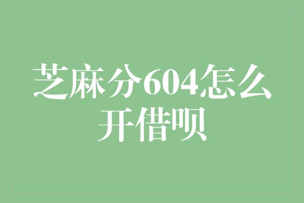 芝麻分604怎么开借呗