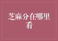 芝麻分的秘密：你真的知道它在哪儿吗？