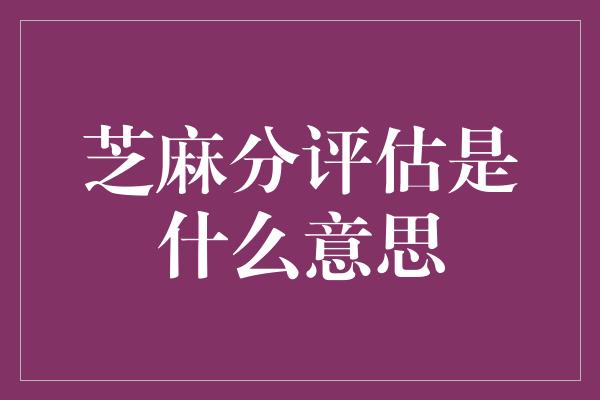 芝麻分评估是什么意思