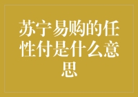 苏宁易购的任性付：解读消费新模式与金融创新