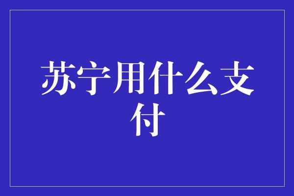 苏宁用什么支付