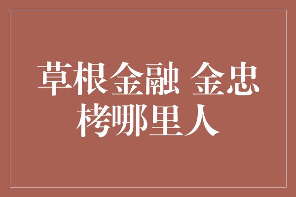 草根金融 金忠栲哪里人